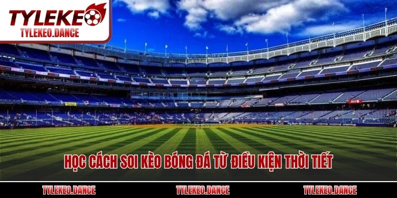 Học cách soi kèo bóng đá từ điều kiện thời tiết