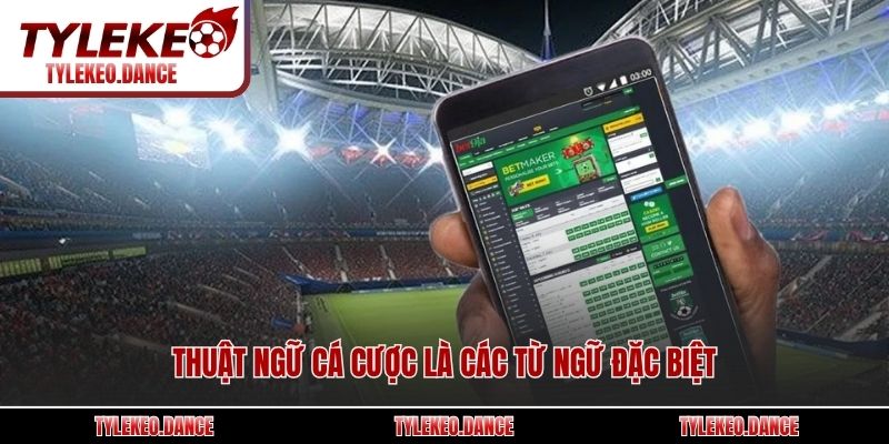 Thuật ngữ cá cược là các từ ngữ đặc biệt